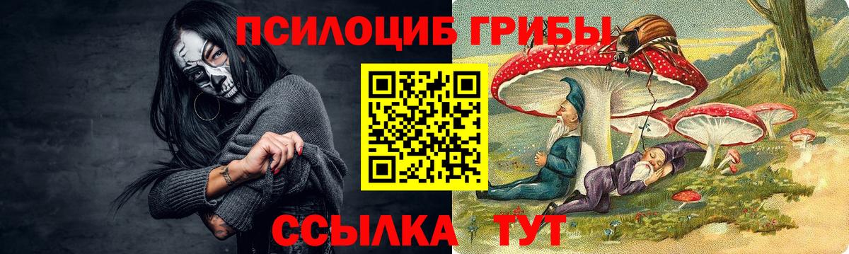 Псилоцибиновые грибы MAGIC MUSHROOMS  Вход с VPN  Минеральные Воды  Псилоцибиновые грибы Psilocybe 